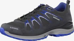 Lowa Trekkingschoenen Lage Schoen Heren Antraciet