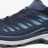 Lowa Wandelschoenen Lage Schoen Dames Blauw