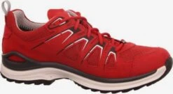 Lowa Trekkingschoenen Lage Schoen Innox Dames Rood / Bordeaux -Lowa Winkel 7e48df9ad0e2c04f0b15e48c8a05da88