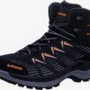 Lowa Wandellaarzen Boots GTX INNOX PRO MID Heren Zwart