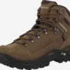 Lowa Wandellaarzen Boots Renegade GTX Dames Bruin