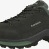 Lowa Wandelschoenen Lage Schoen Renegade Dames Grafiet